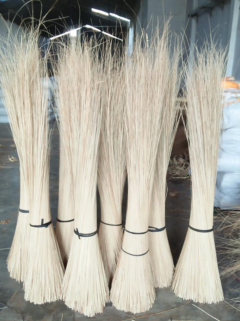 Nypah Broom