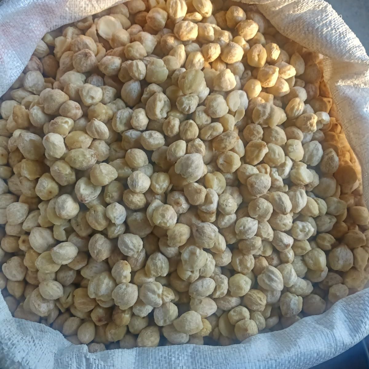 hazlenuts