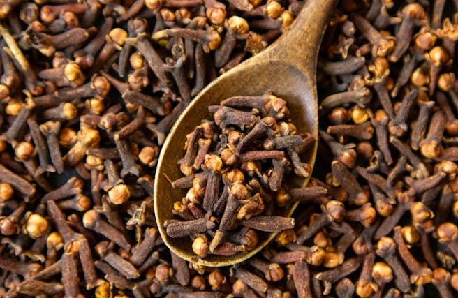 CLOVES