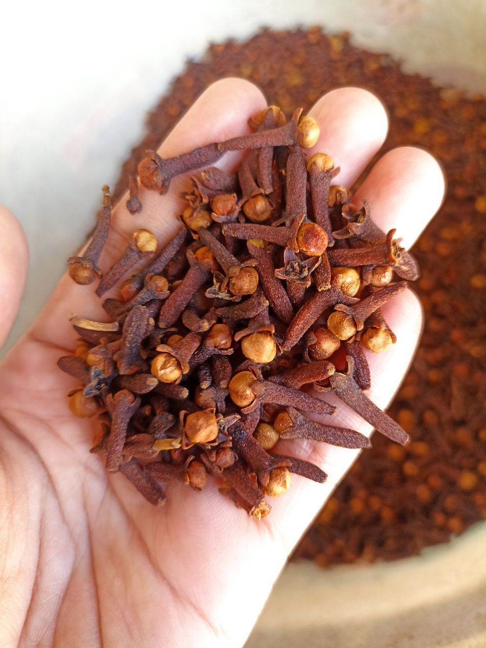 Cloves Lalpari