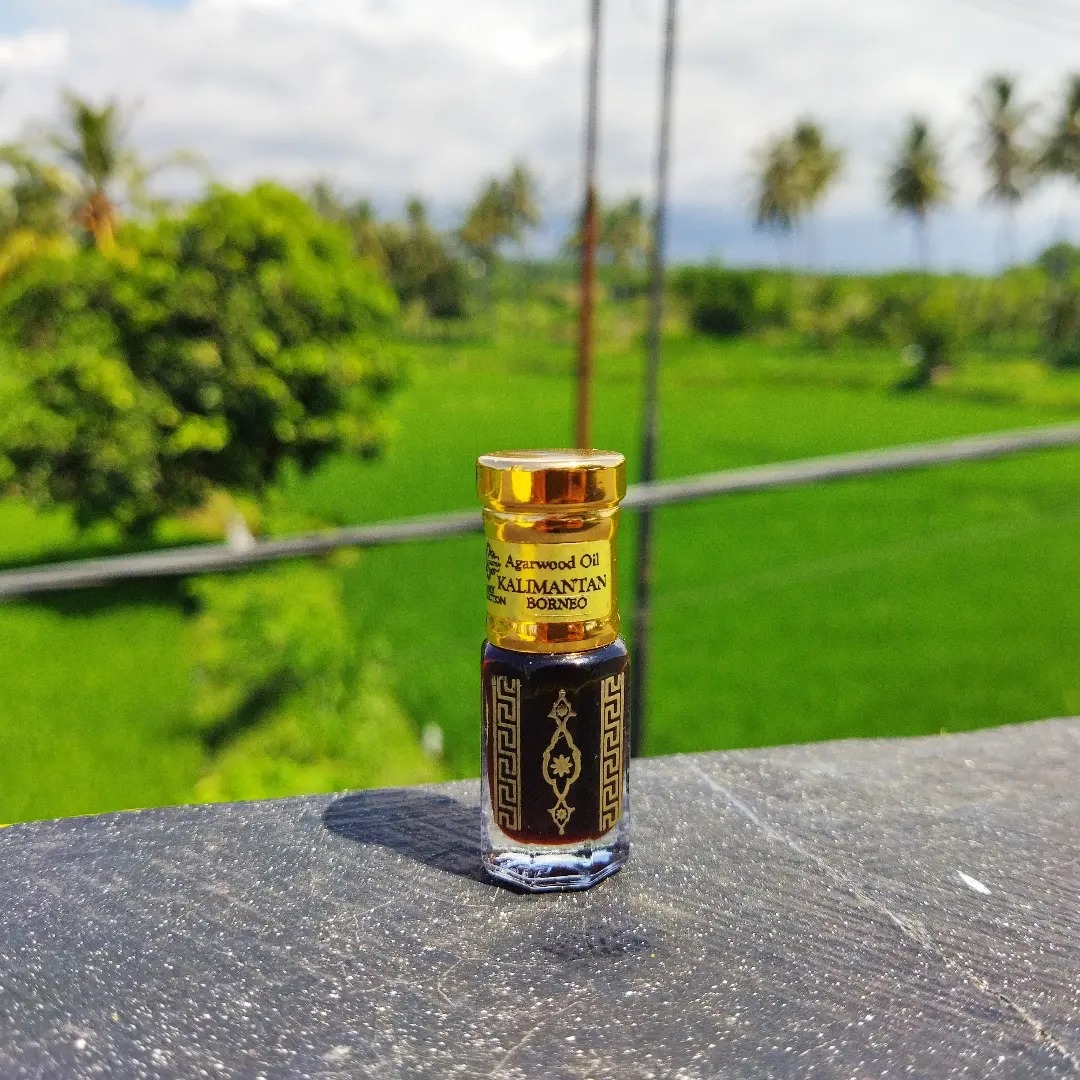 Kalimantan Agarwood Oud Oil Inaexport kalimantan-agarwood-oud-oil-inaexport