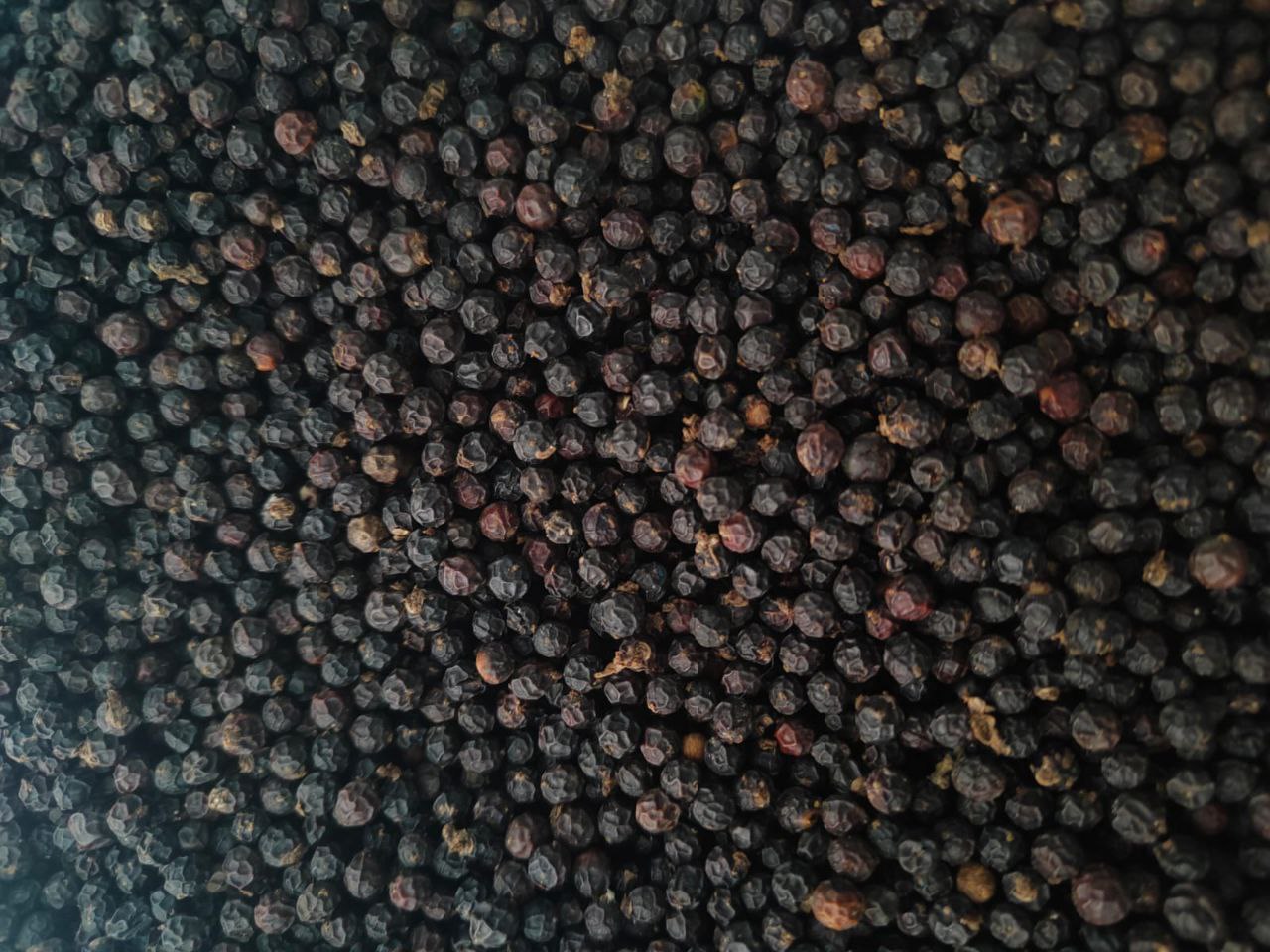 Black Pepper