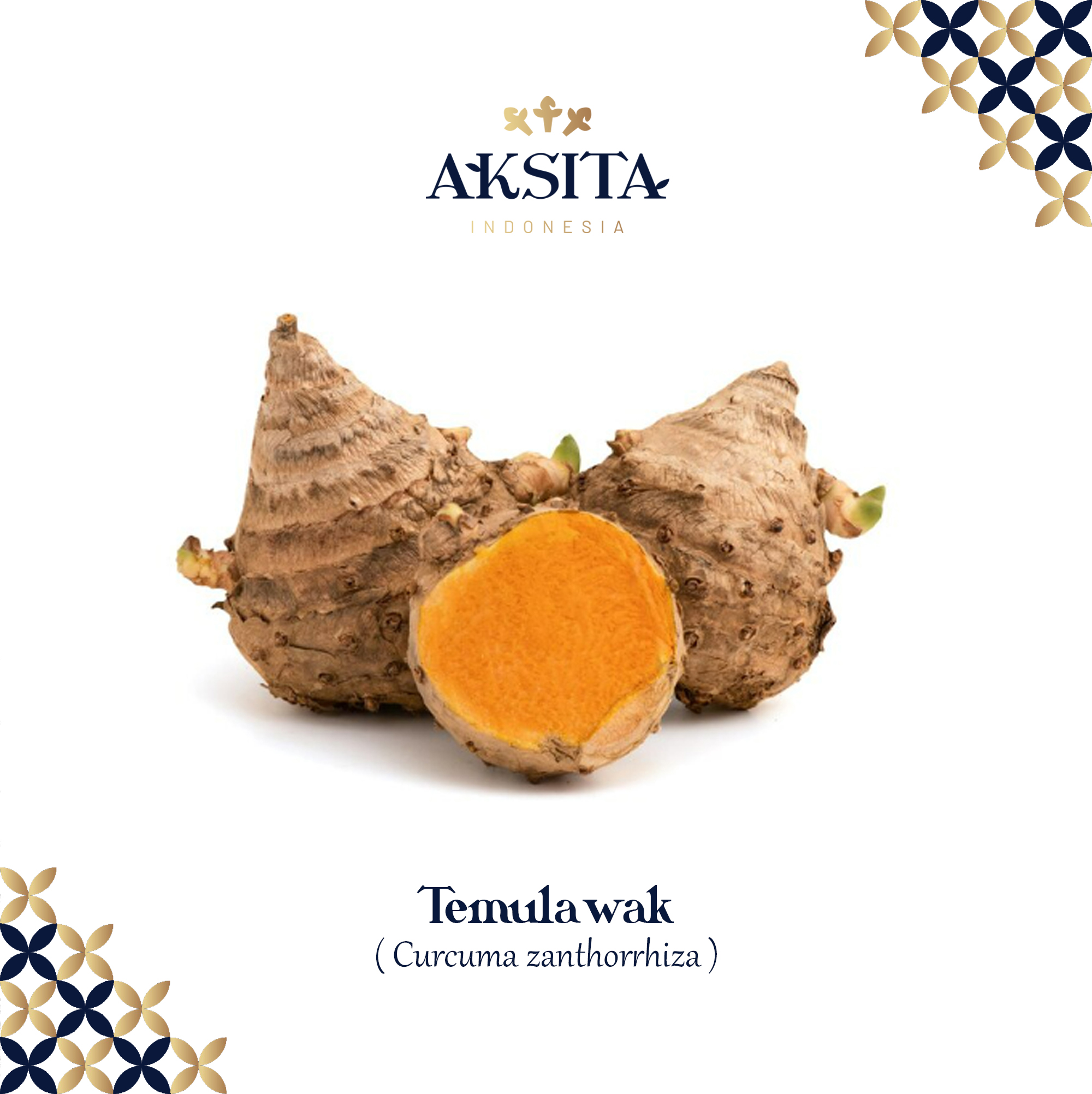 AKSITA INDONESIA Inaexport aksita-indonesia-inaexport