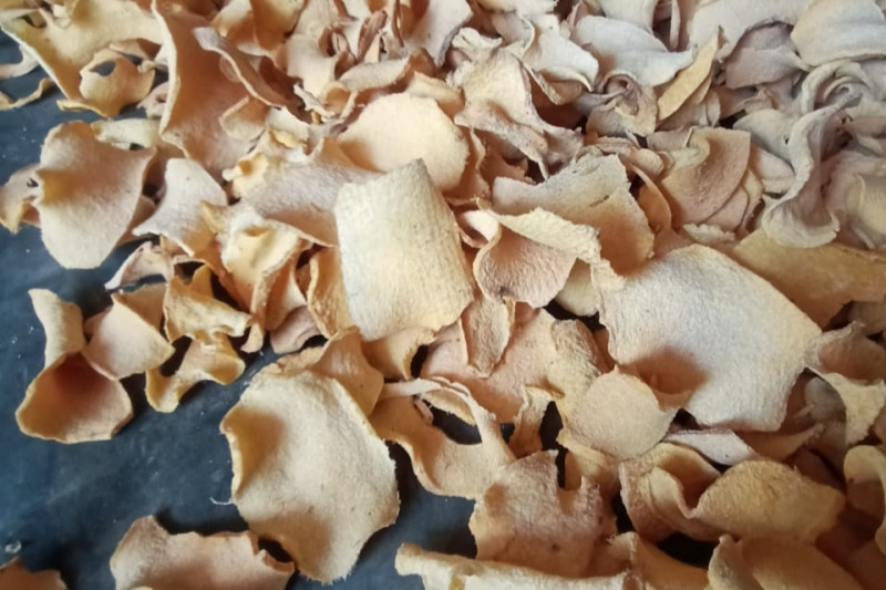Porang Chips, Konjac Chips