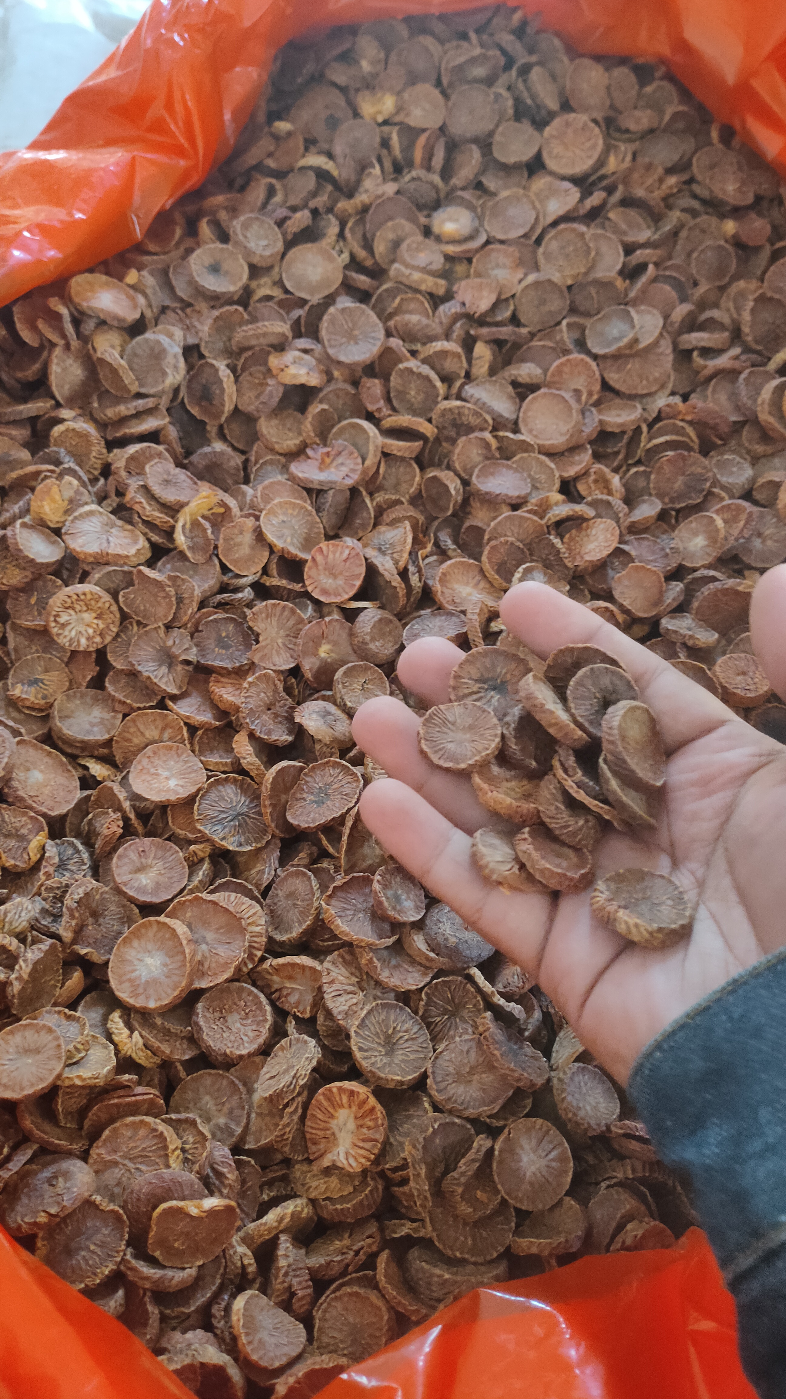 Split Betel Nut / Areca Nut