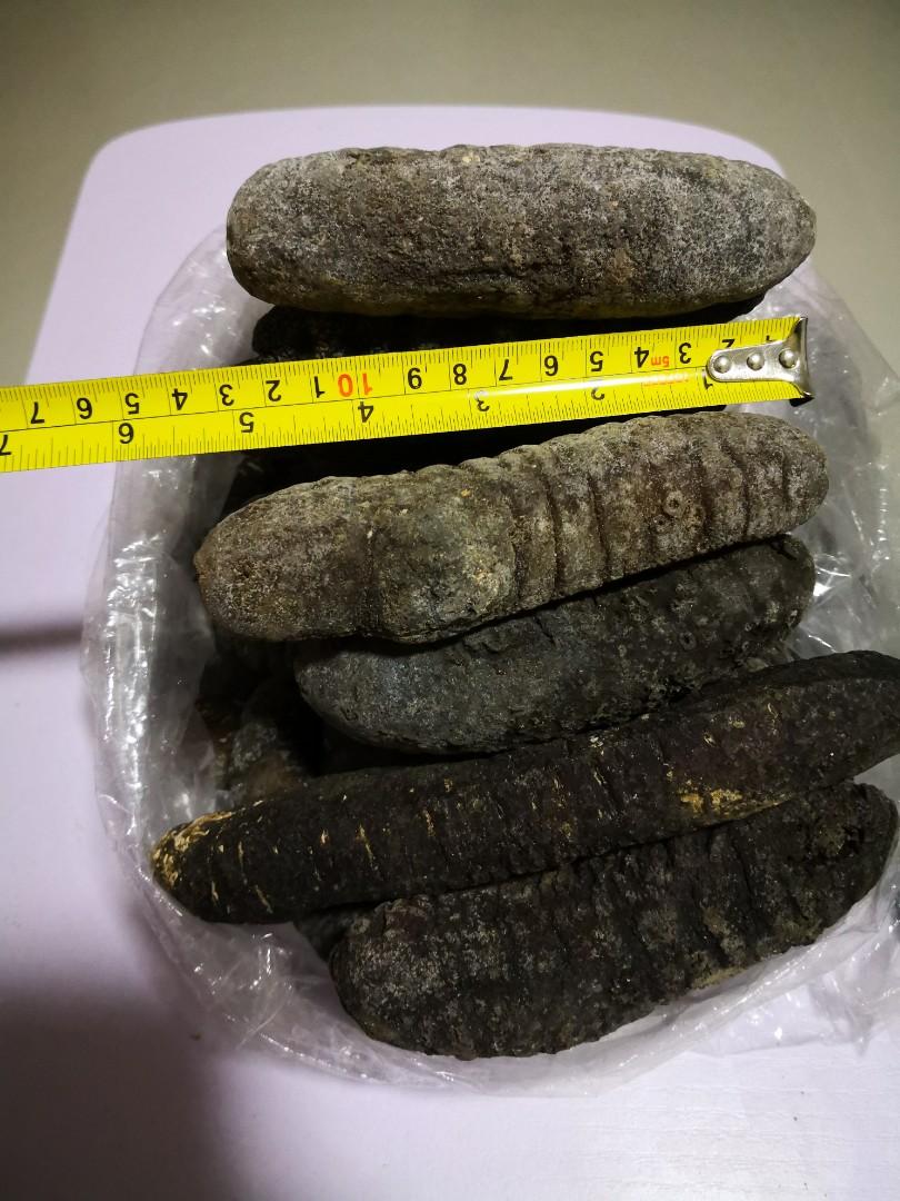 Sea cucumber