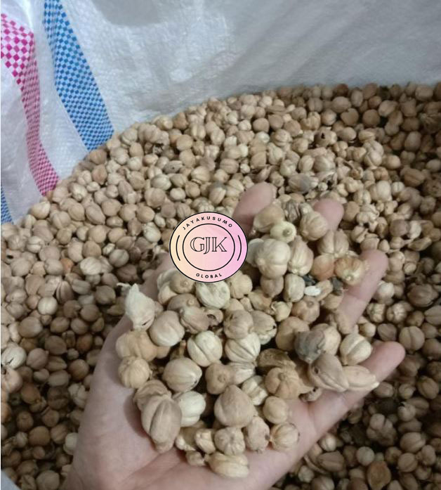CARDAMOM PREMIUM