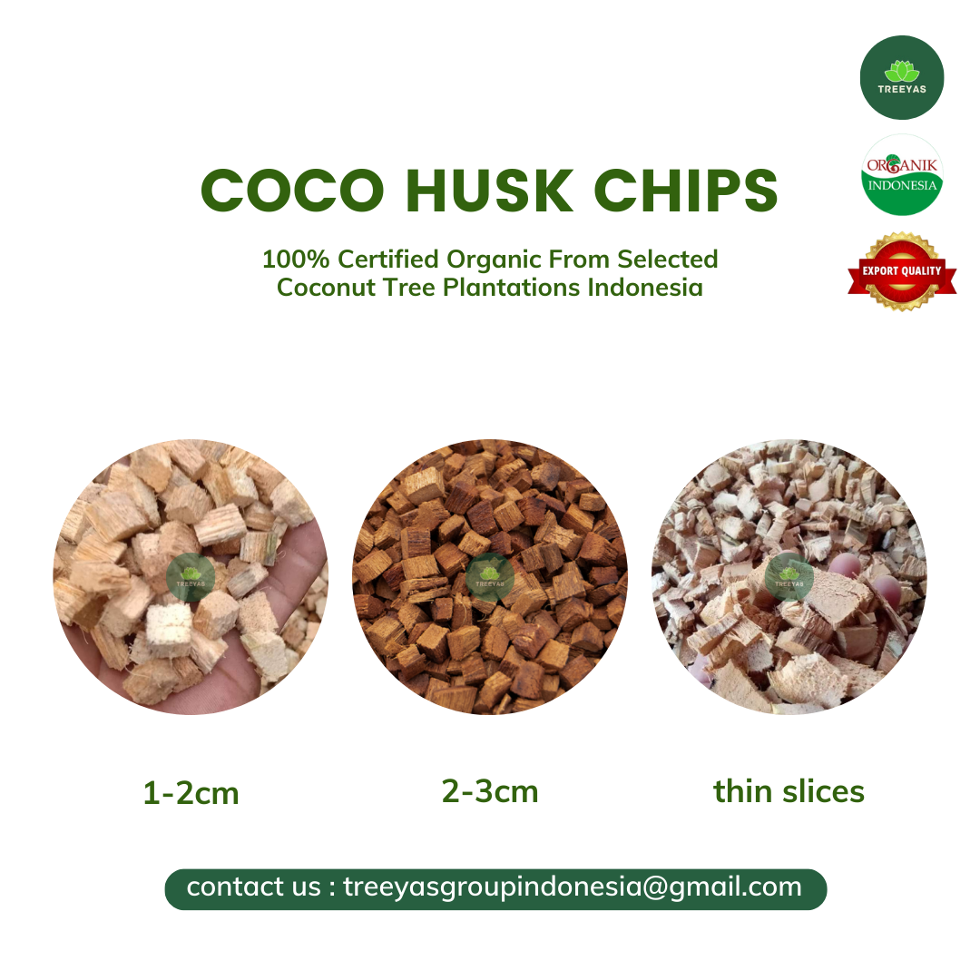 coco remember chips