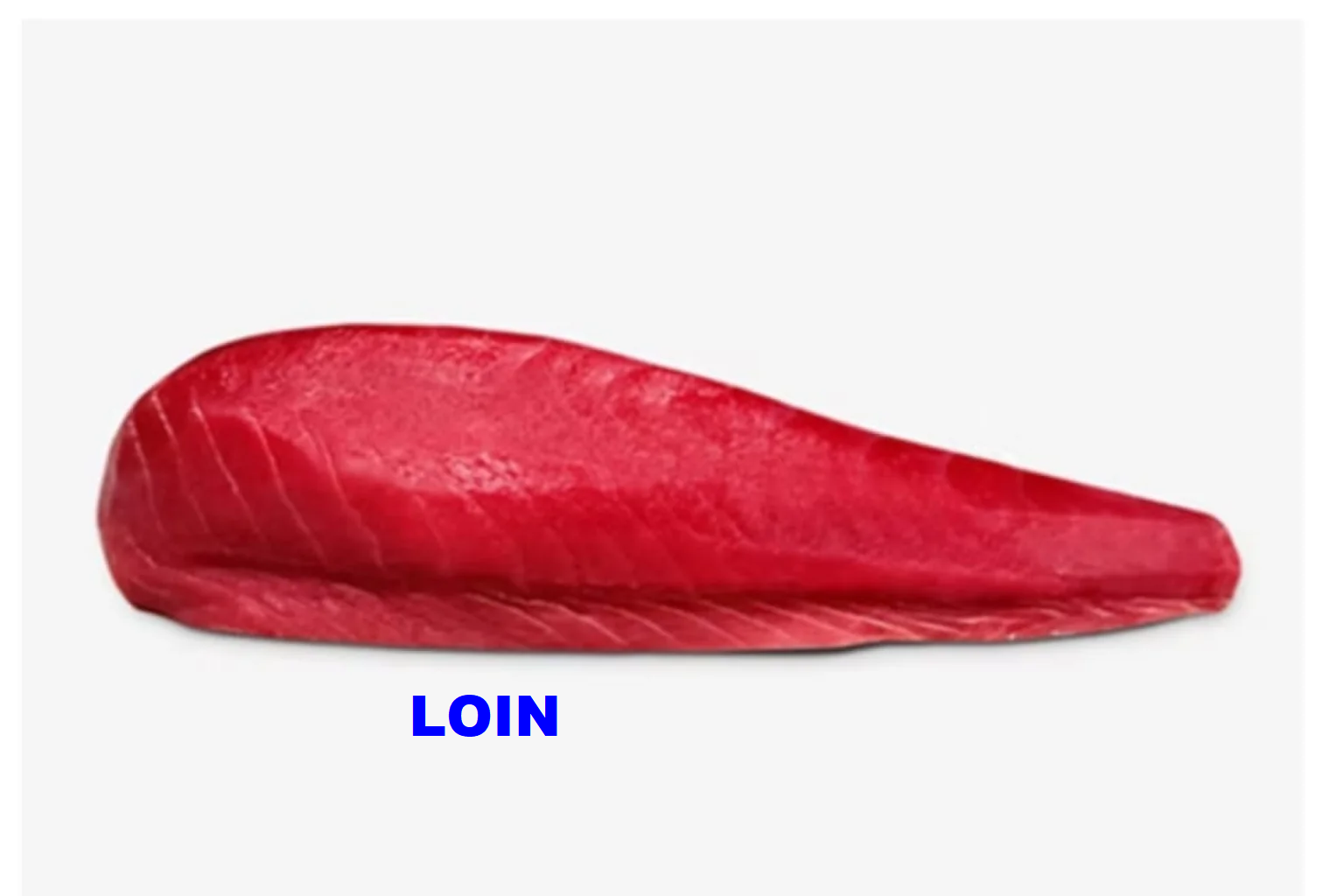 zo-th-1