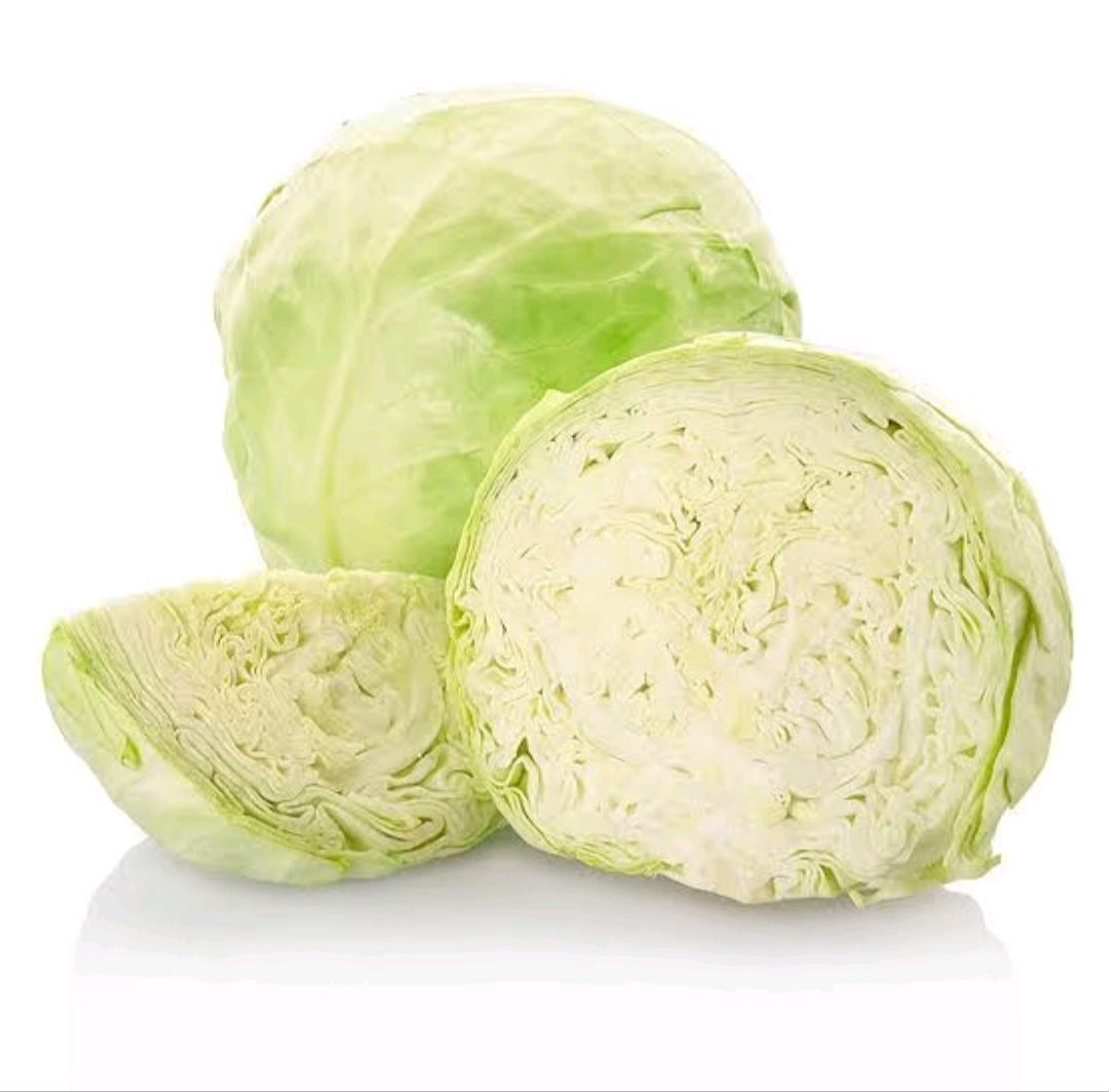 Cabbage