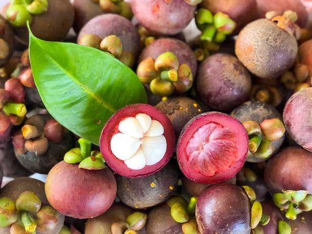 mangosteen