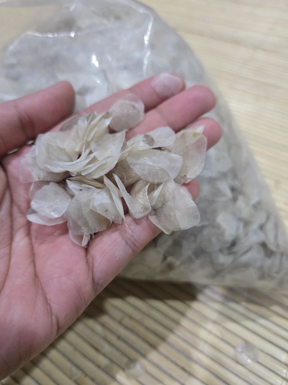 DRY TILAPIA FISH SCALES