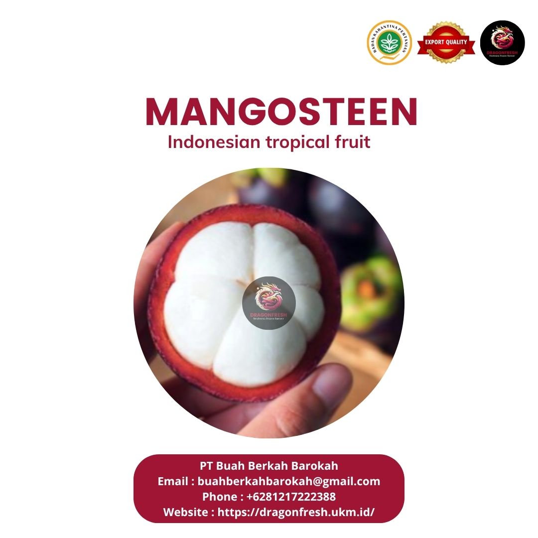mangosteen