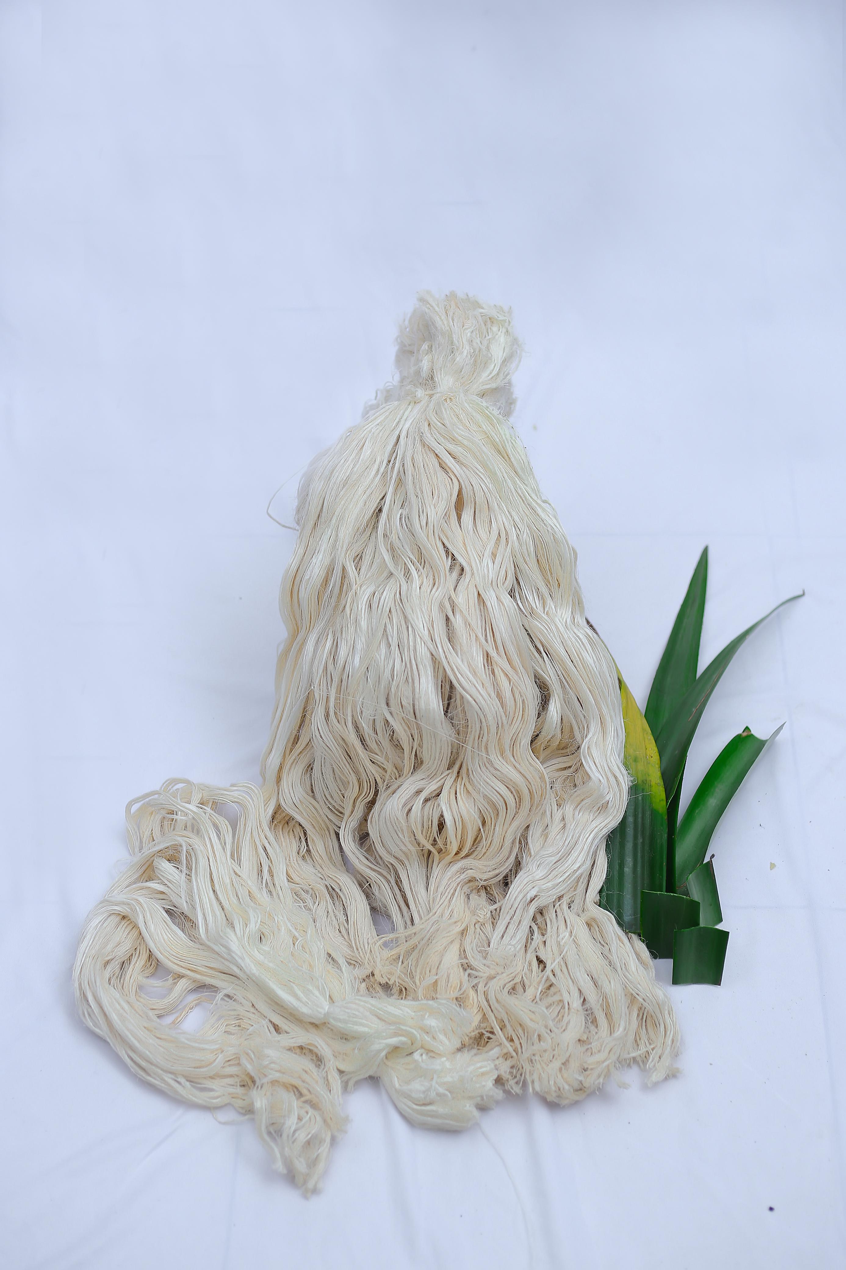 Fine pineapple leaf fiber