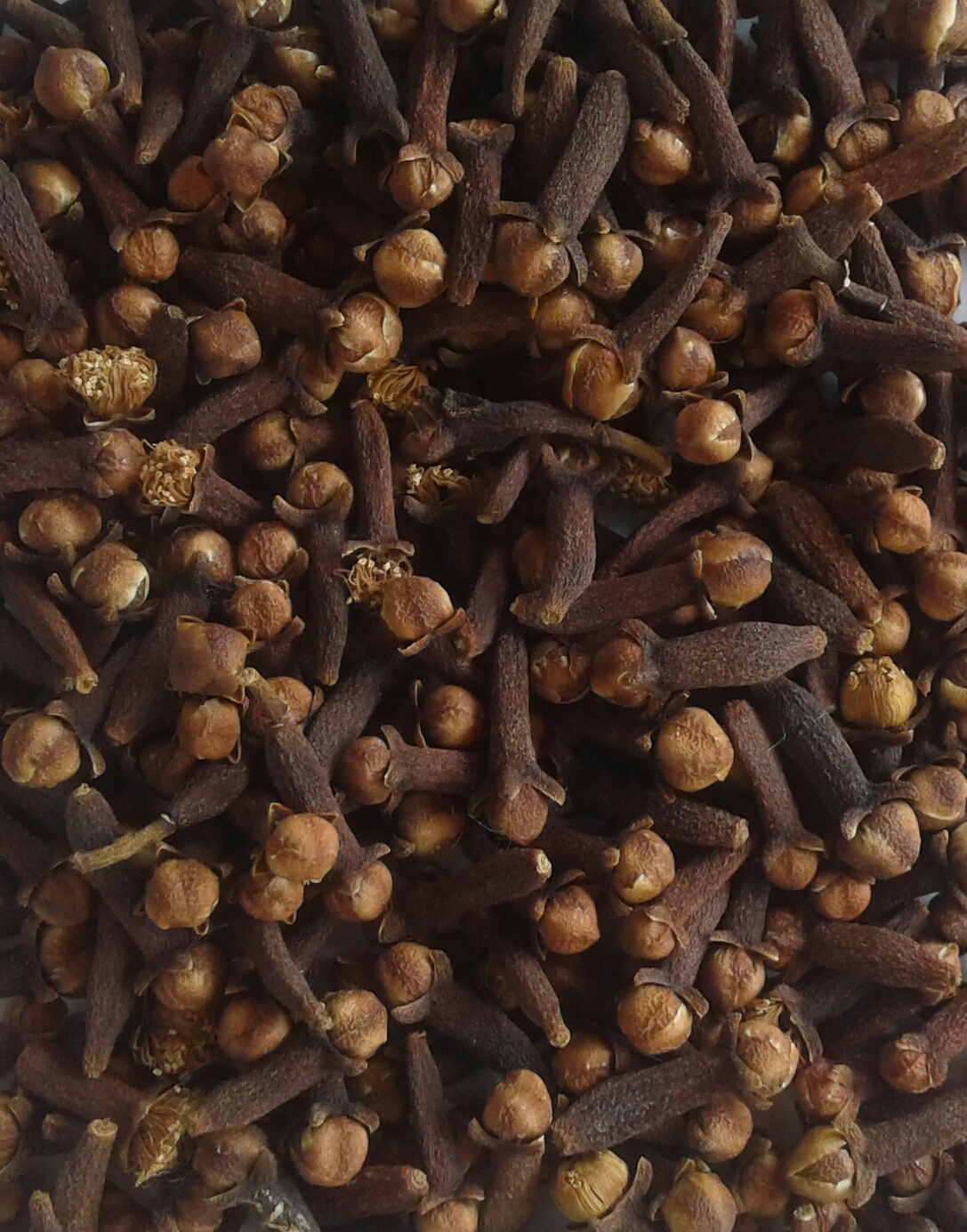 Cloves