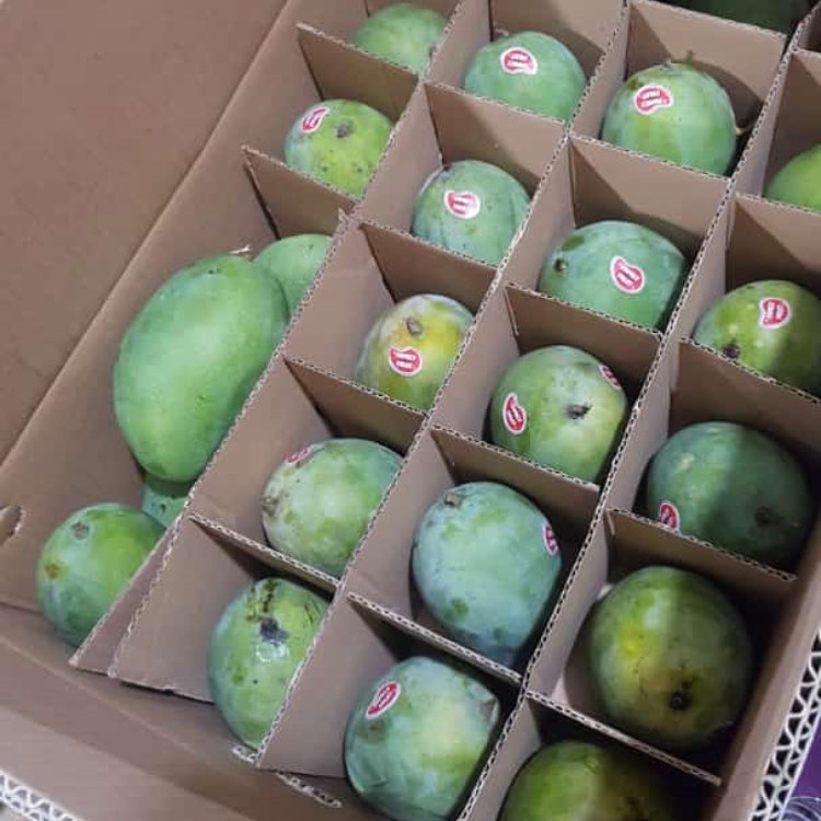 Mangoes
