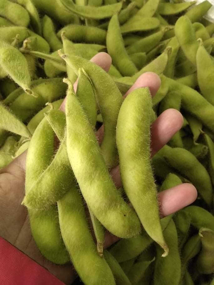 Edamame