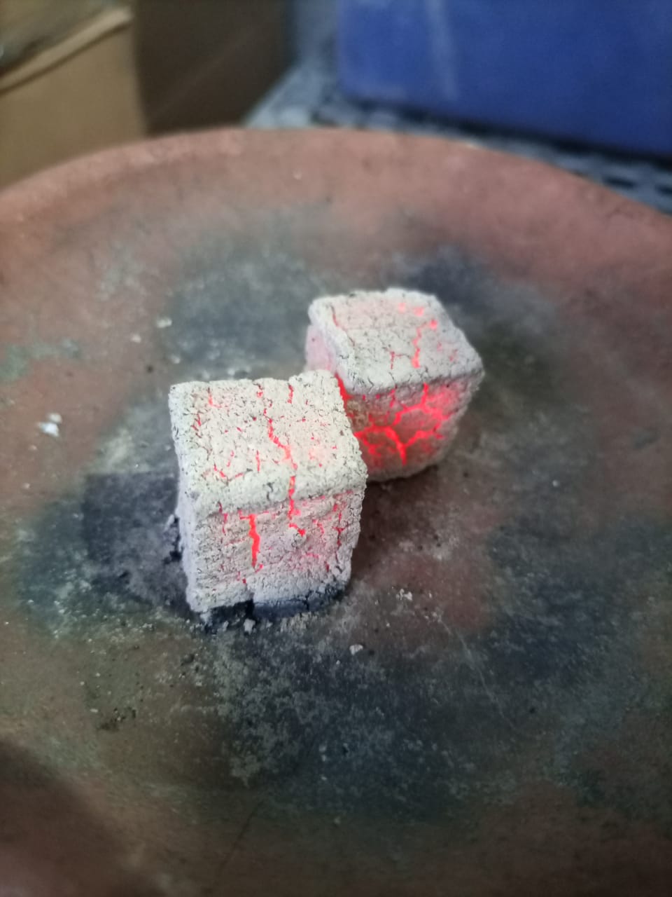 zo-th-1