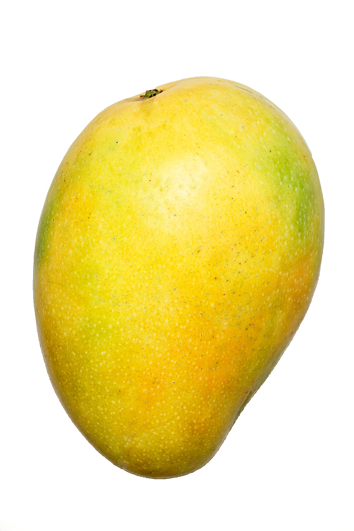 zo-th-1
