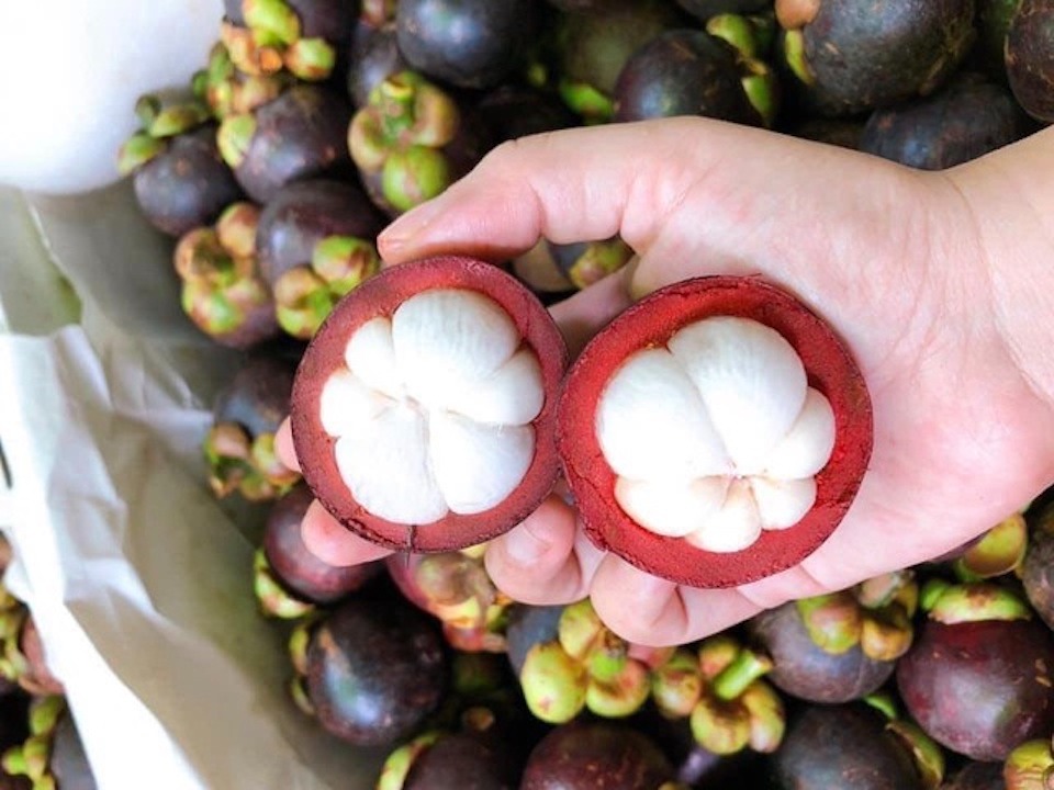 Mangosteen