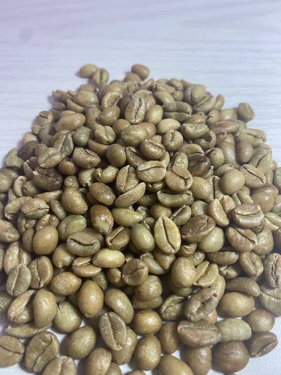 East Java Robusta Coffee Bean Grade A | Inaexport