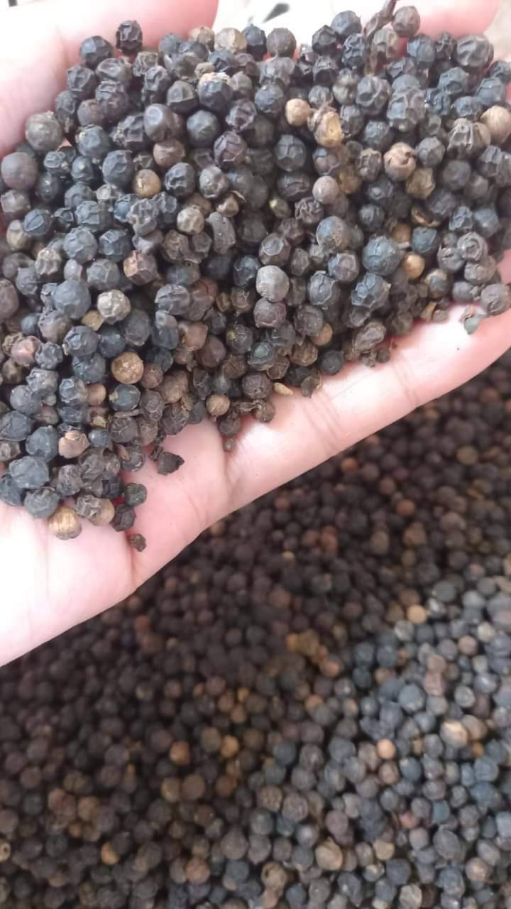 Wheat Flour from Cassava HS Code 1106.20.10 Inaexport