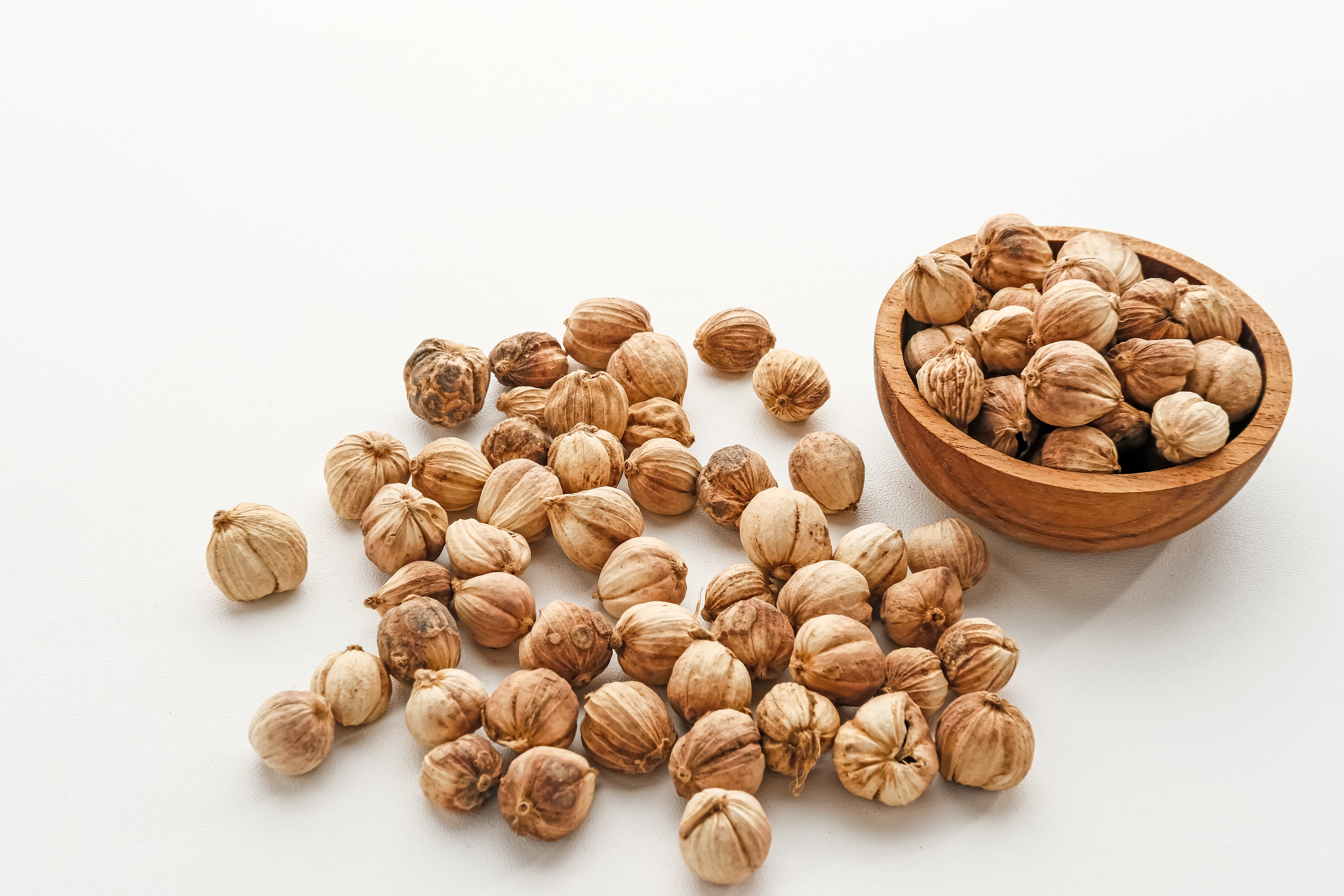 White Cardamom - Kapulaga - True cardamom