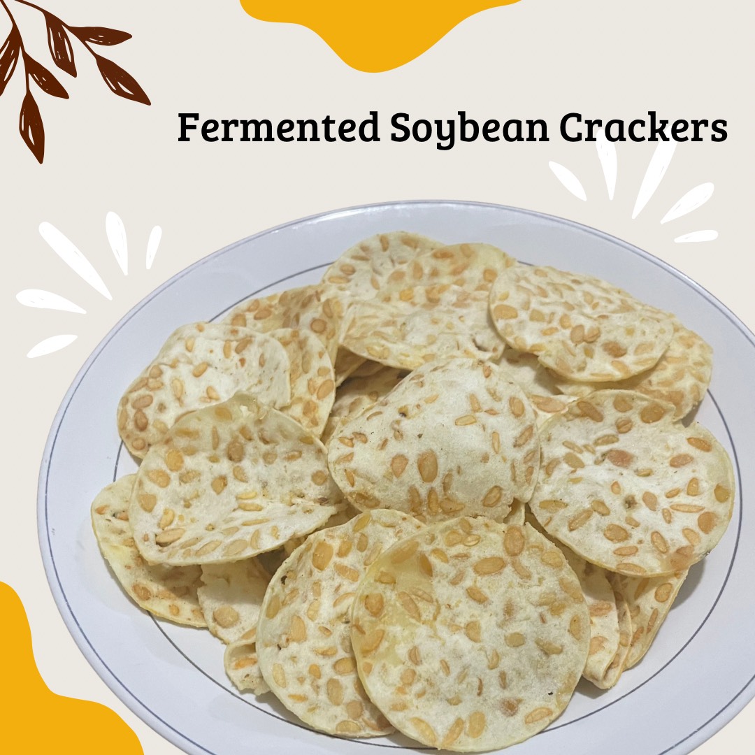 Fermented Soybean Chips/ Tempeh Chips Inaexport