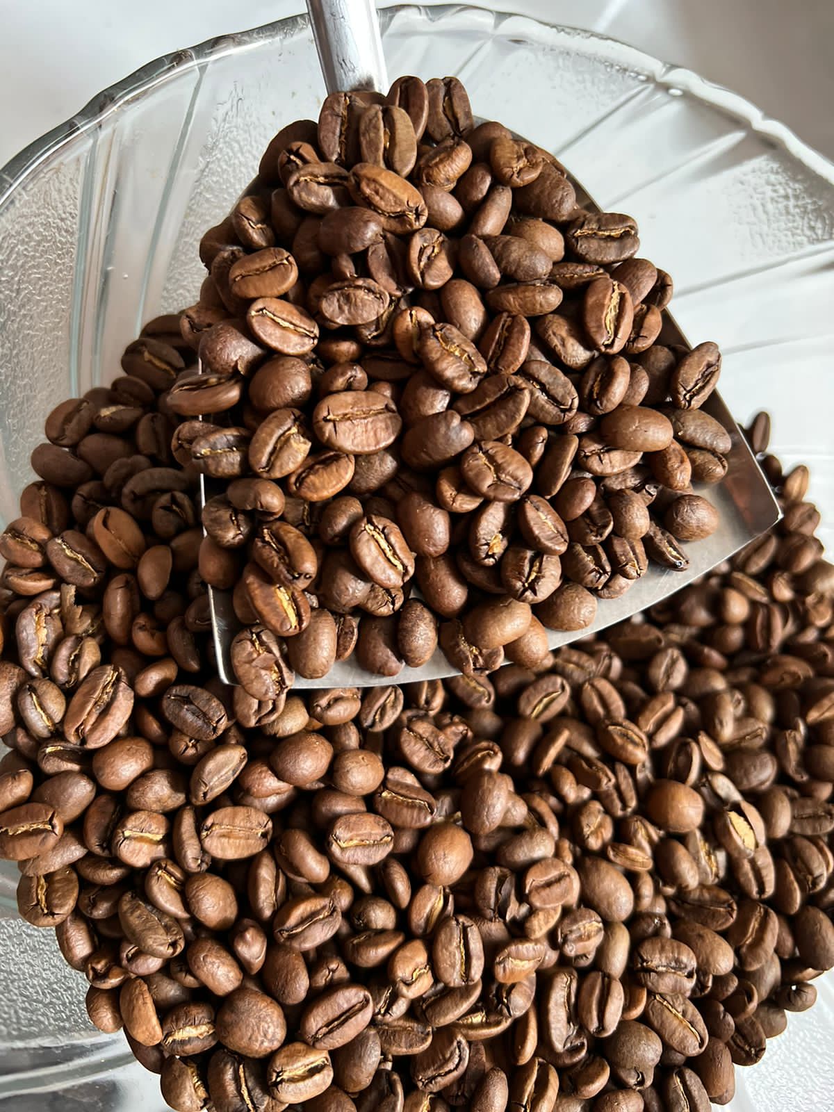 Arabica Roast Bean Inaexport Arabica Roast Bean Inaexport