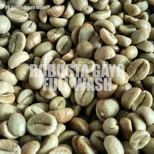Robusta Gayo Coffee Bean