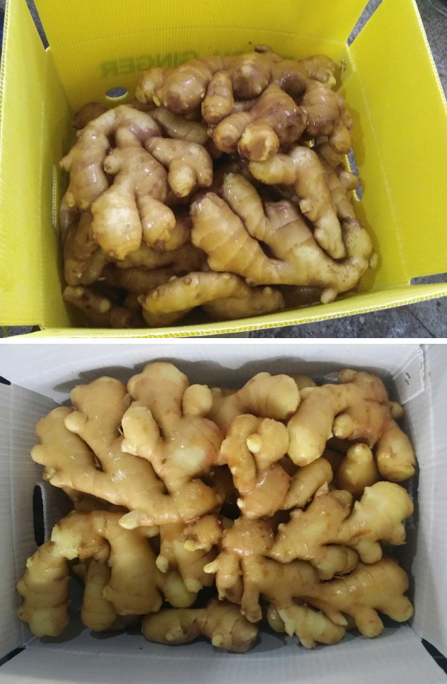 Fresh Ginger