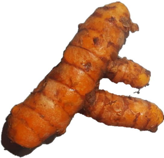 zo-th-1