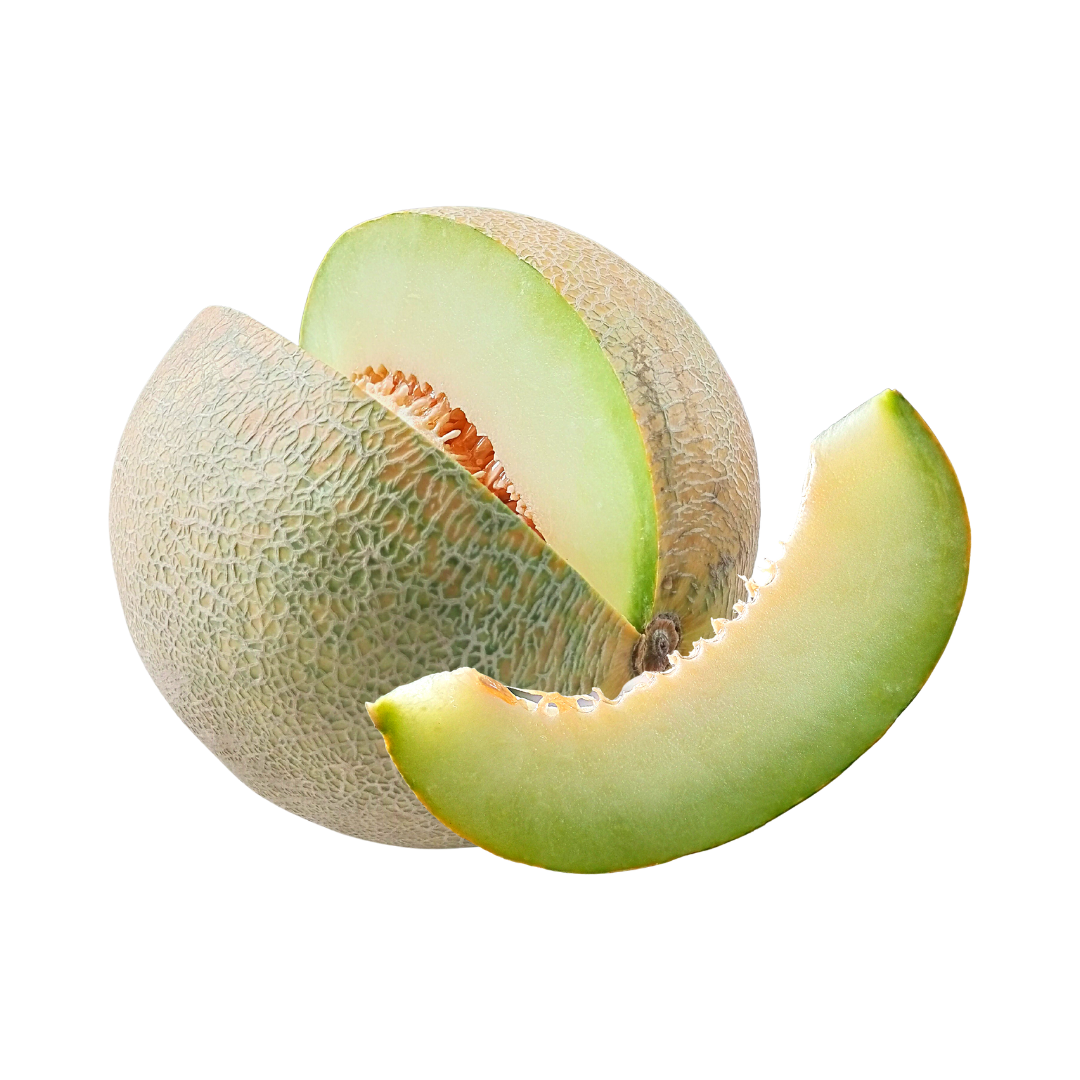 melon-inaexport