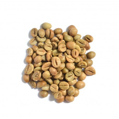 Robust Java Grade 1