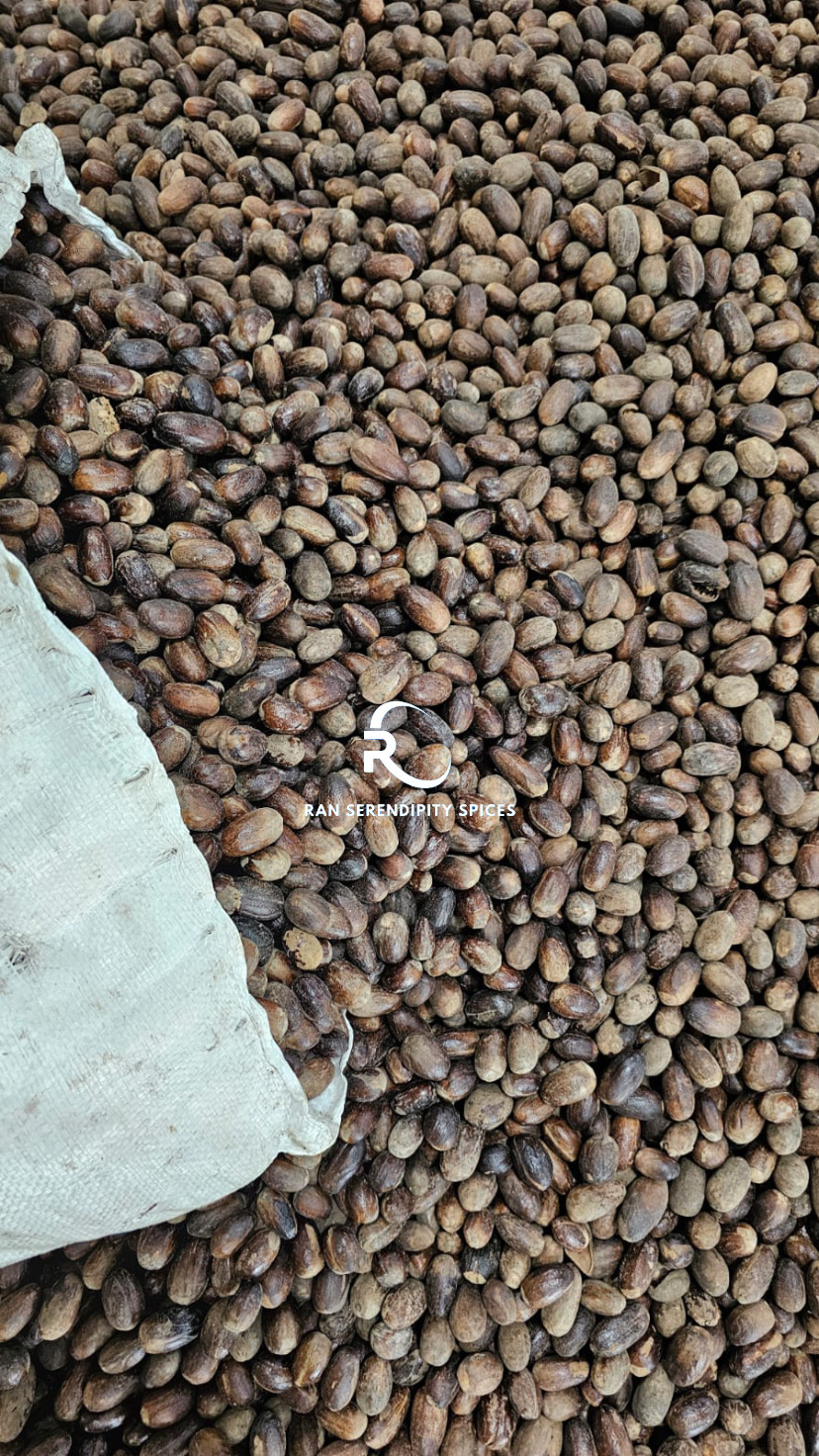 NUTMEG STICK TO THE SHELL