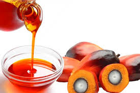 Crude Palm Oil - CPO