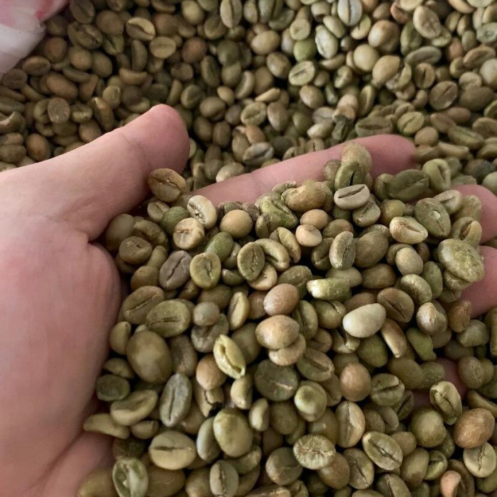ROBUSTA INDONESIA ORIGIN GRADE 1