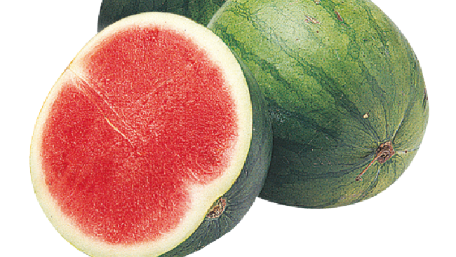 Watermelon