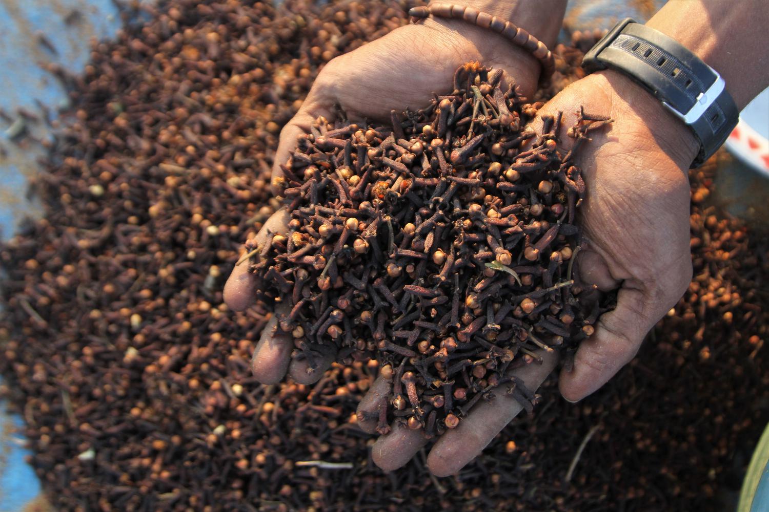 Cloves