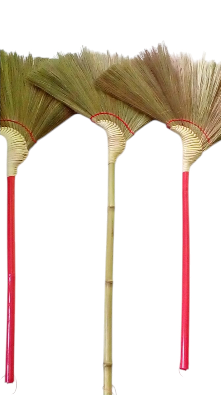 zo-th-1