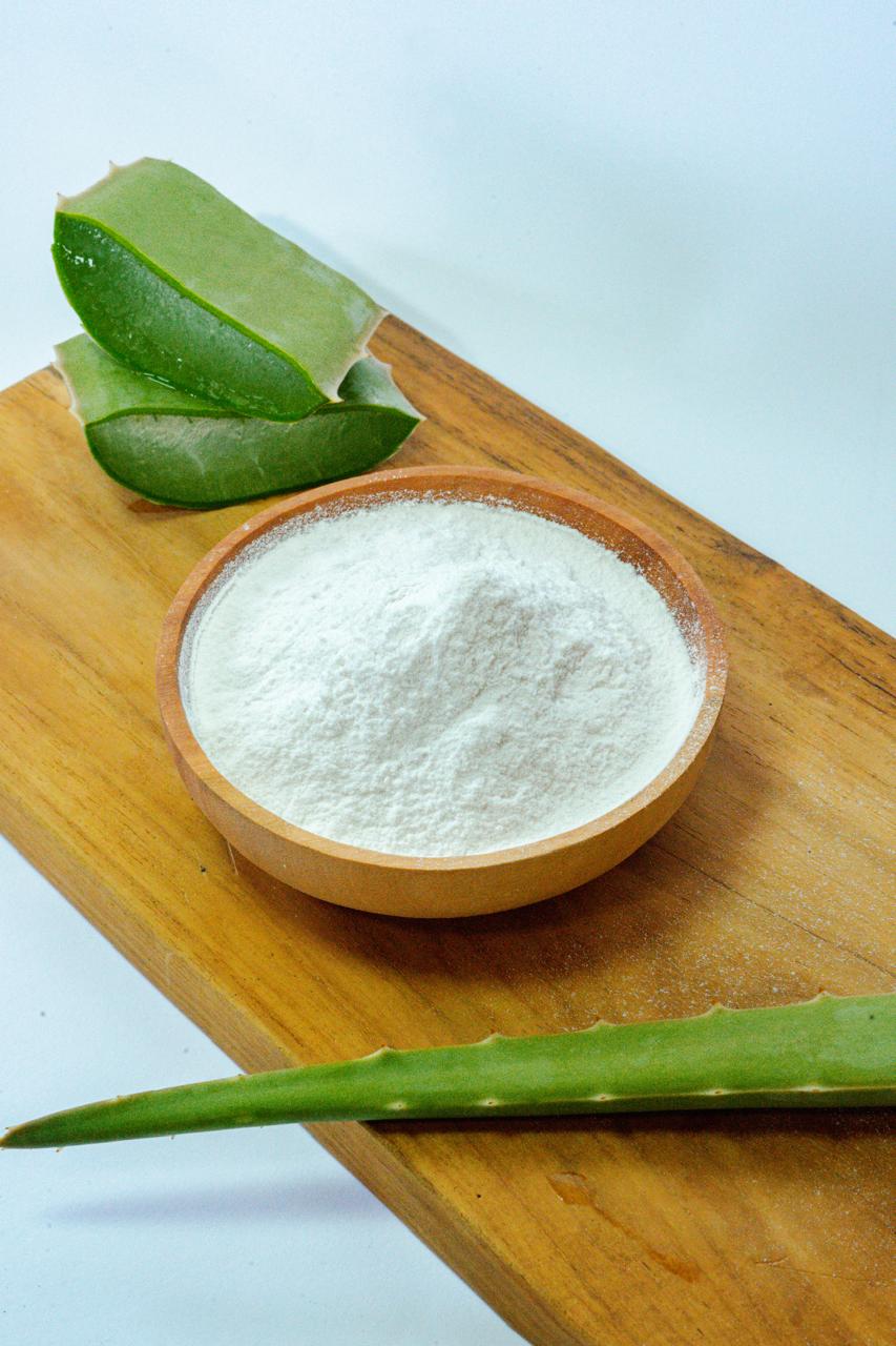 Aloe vera Powder 100X | Inaexport