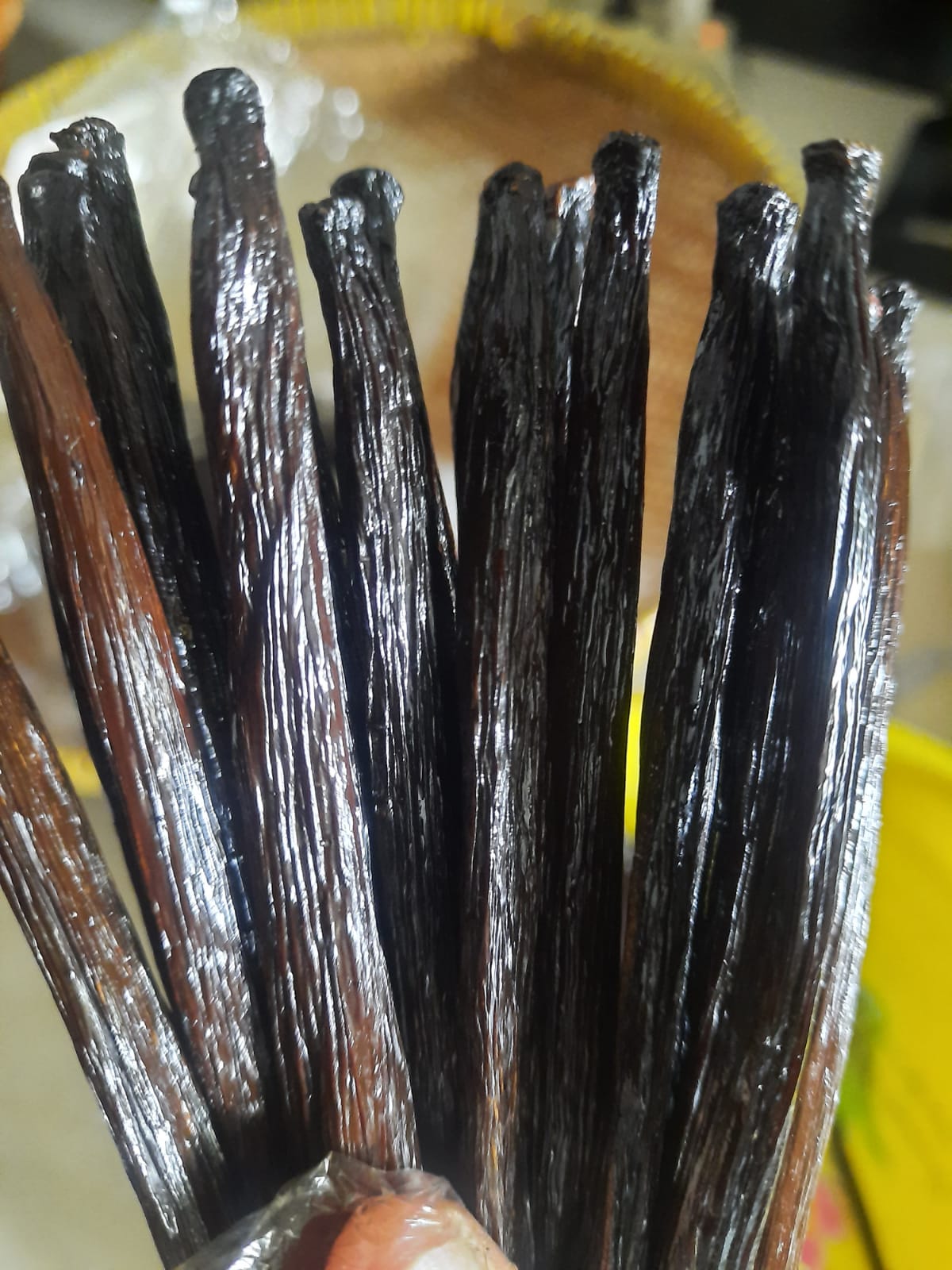 Vanilla