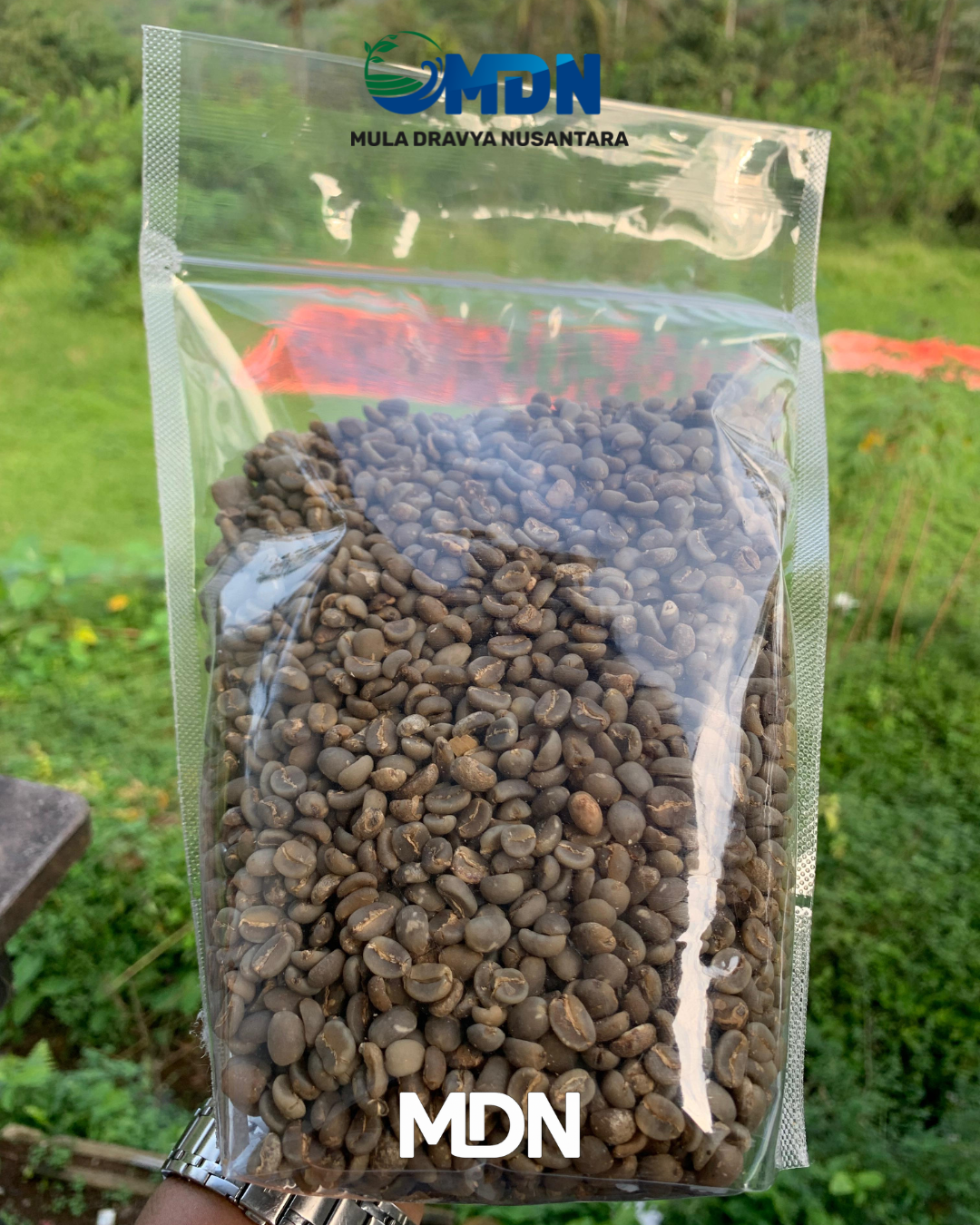 Arabica Full Washed Grade 1