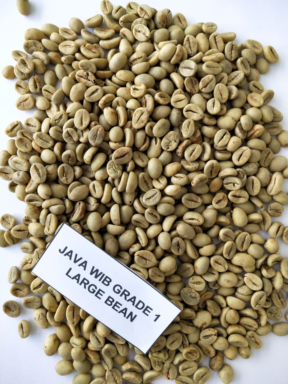 JAVA WIB GRADE 1 LARGE BEAN | Inaexport
