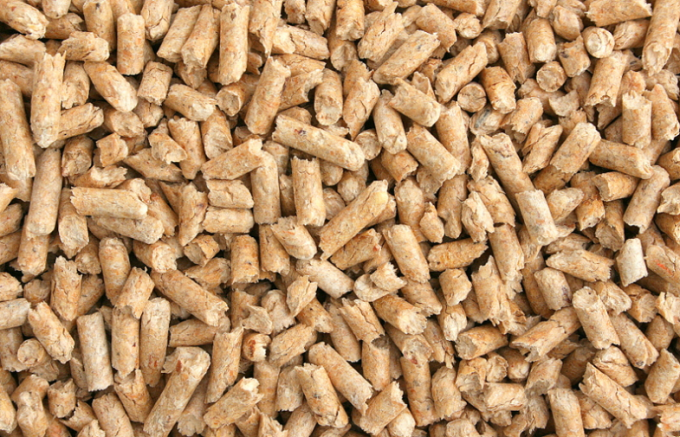 Rice Husk Pallet | Inaexport